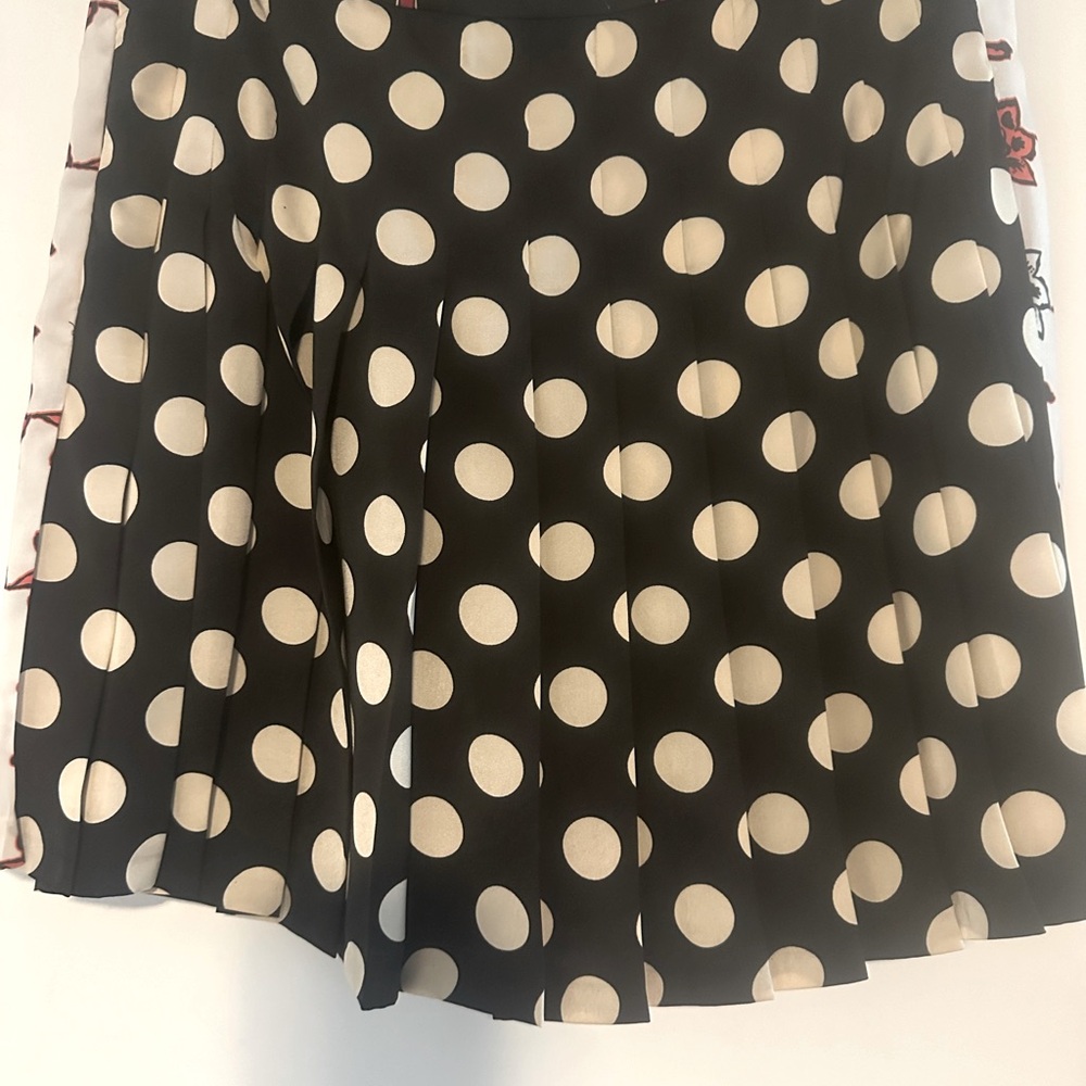 Super cute multi color pleated skirt.